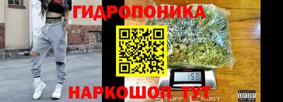 твердый Коммунар