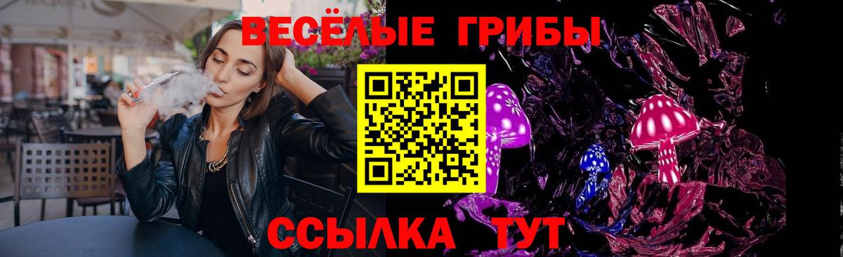 Галлюциногенные грибы Psilocybe  купить наркоту  Псилоцибиновые грибы GOLDEN TEACHER  Котельники  Вход с VPN 